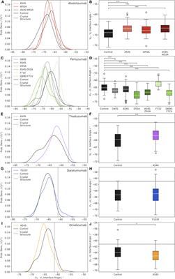 Common framework mutations impact antibody interfacial dynamics and flexibility